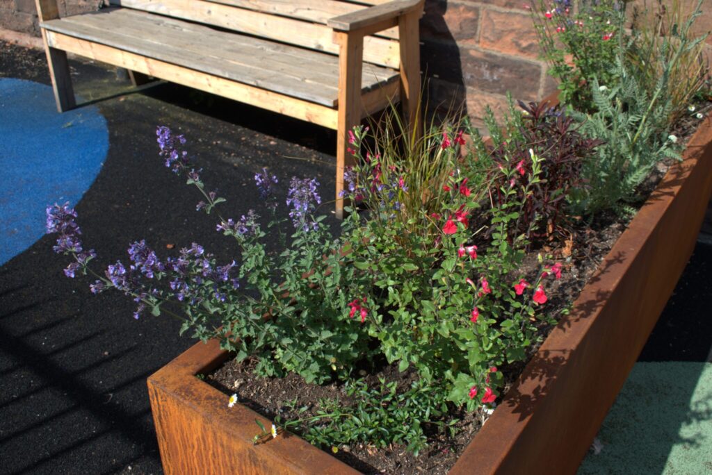 Red metal planter holds purple and red flowers with green foliage. In background there is a bench bathed in sunlight. A big blue painted circle decorates the tarmac ground.