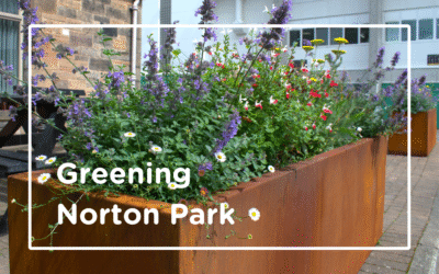 Norton Park Completes Greenspace Project